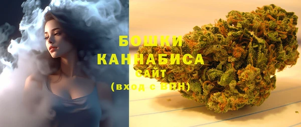 МДПВ Мегион