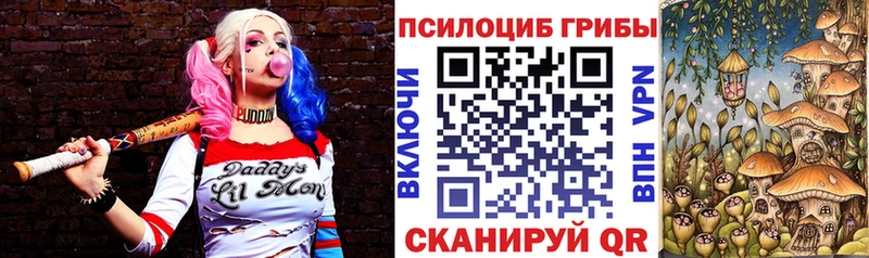 Псилоцибиновые грибы Psilocybe  Таруса 